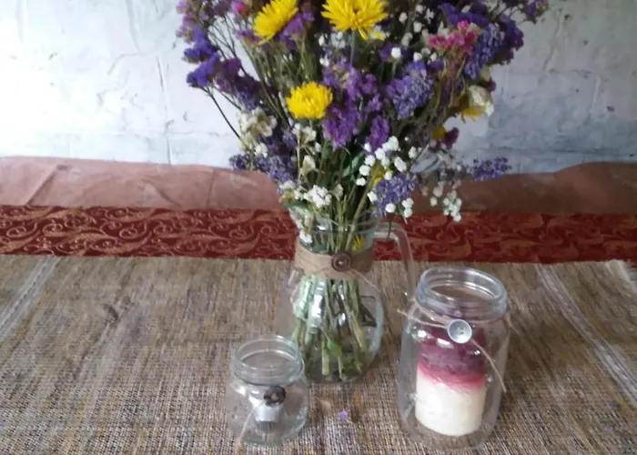 Maison d'hôtes Pashko Vasa