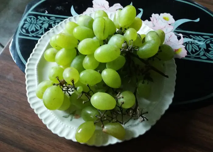 Maison d'hôtes Pashko Vasa *