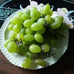 Πανσιόν Pashko Vasa *