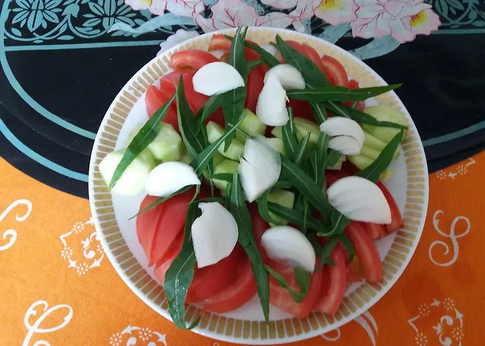 Pensjonat Pashko Vasa *